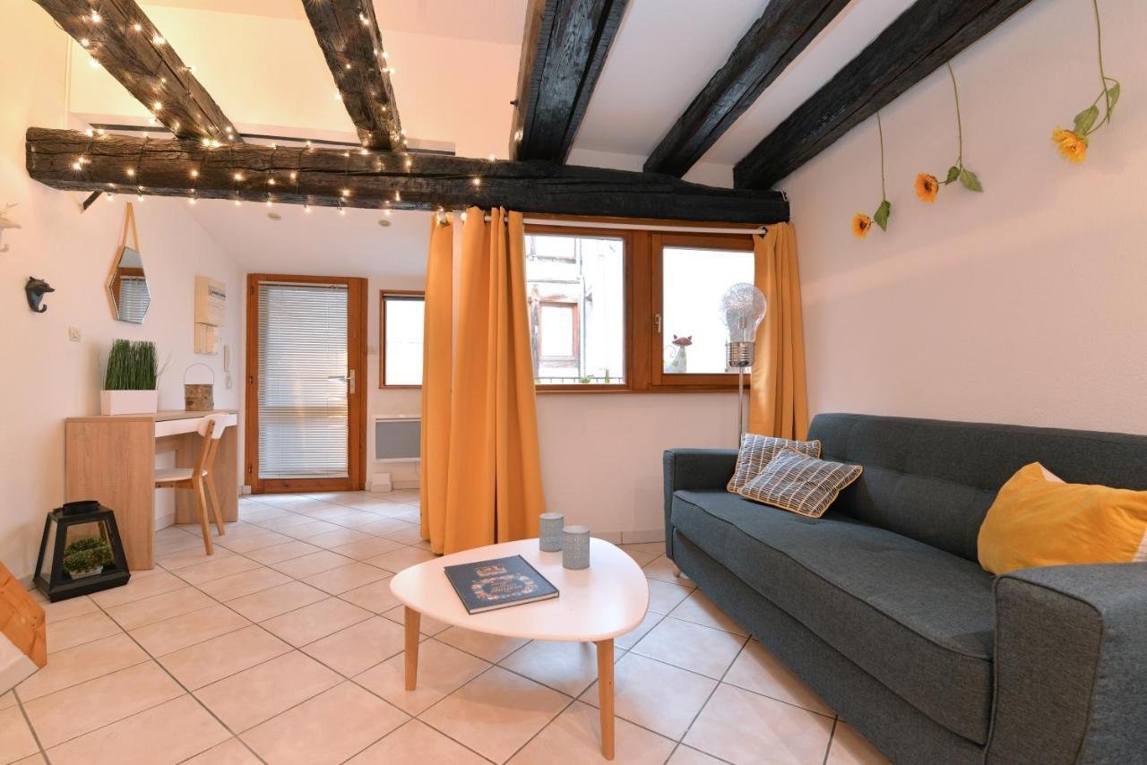 Appartement La Terrasse Sur Cour コルマール エクステリア 写真