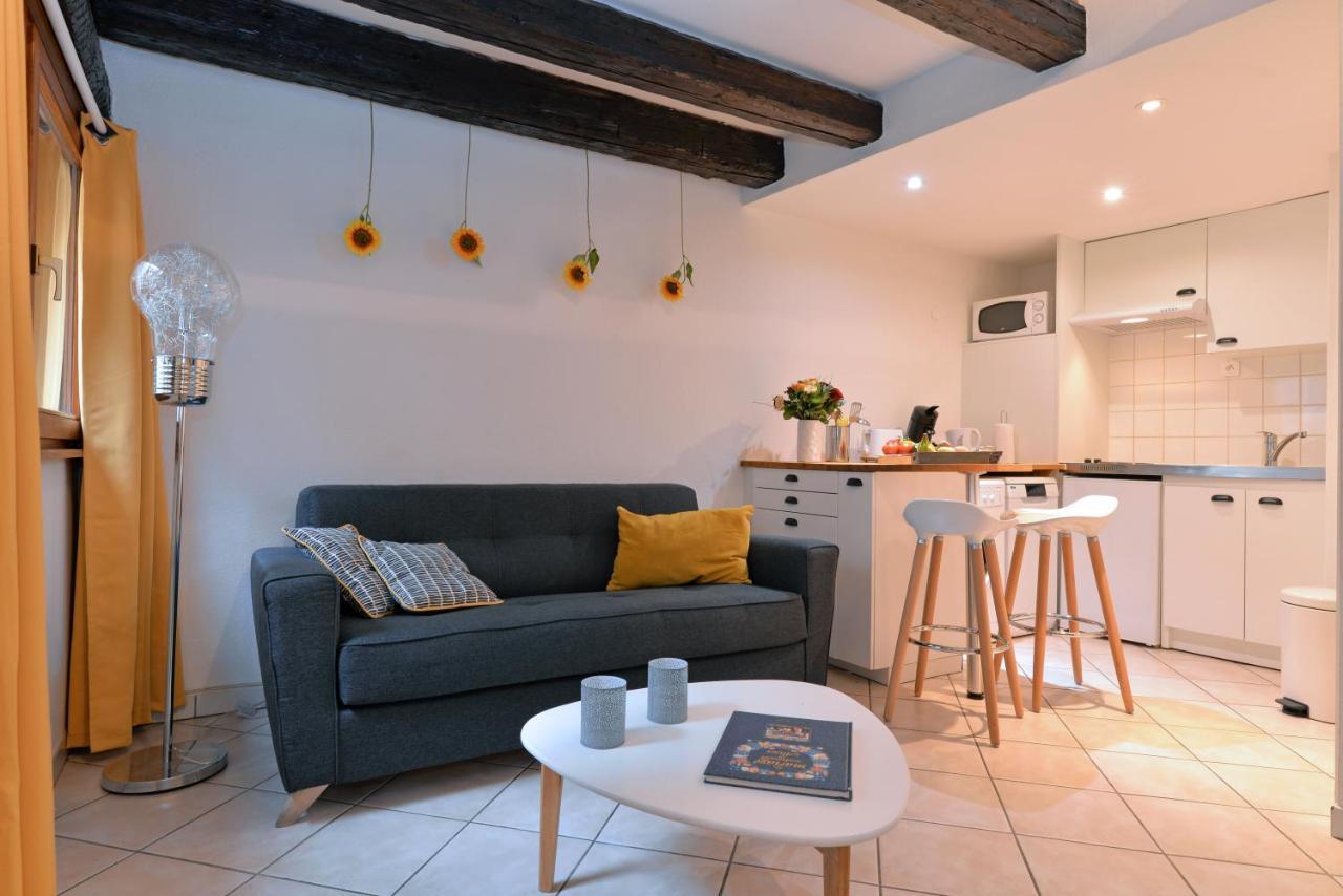 Appartement La Terrasse Sur Cour コルマール エクステリア 写真