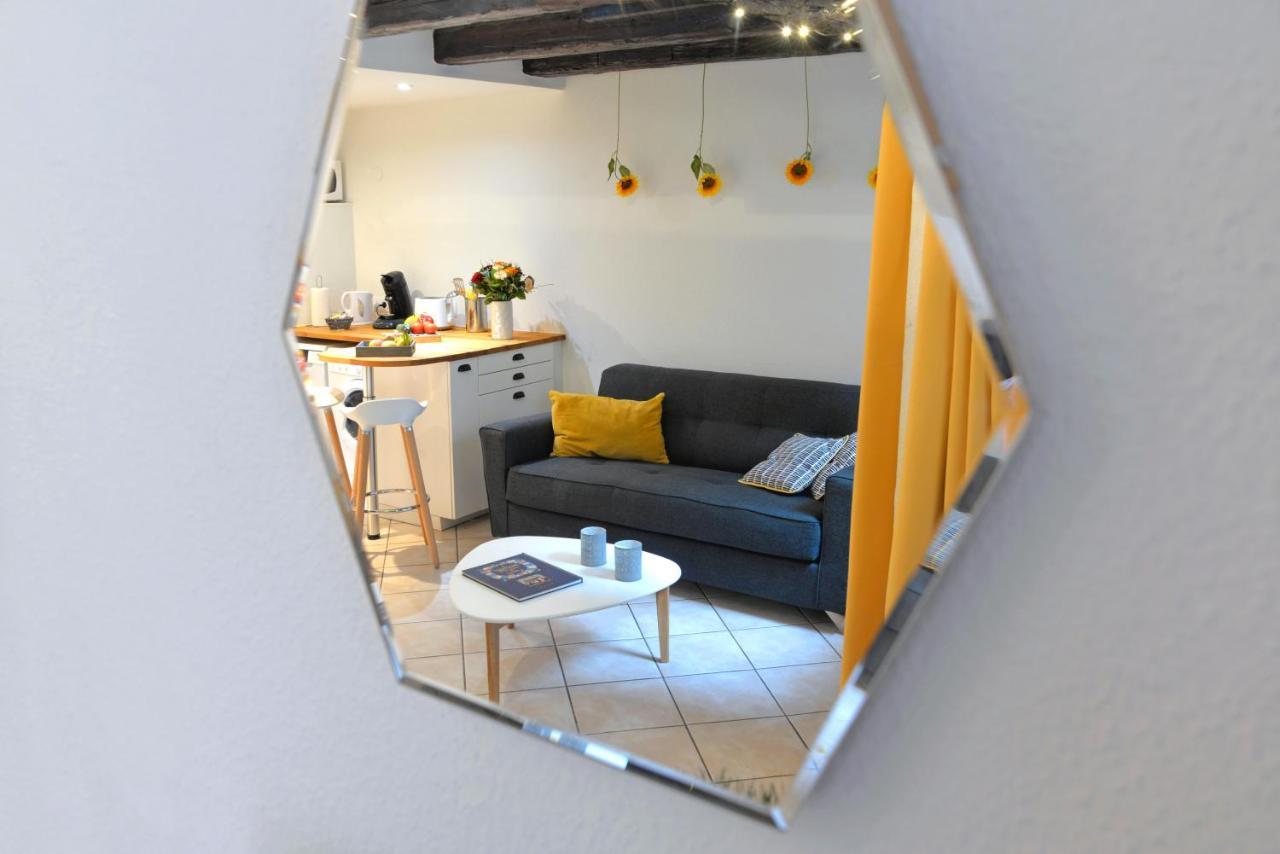 Appartement La Terrasse Sur Cour コルマール エクステリア 写真